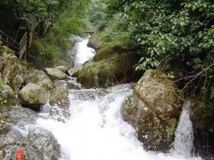 -东天目山风景区