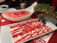 -蓉城老妈火锅(双林路店)