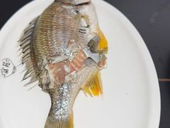 -吴记富苑(朝阳店)