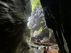 -牛背梁国家森林公园