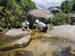 -海南热带雨林国家公园吊罗山景区