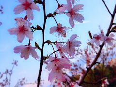 -江南大学(蠡湖校区)