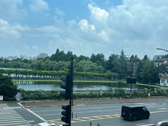-绿雪芽白茶(浙大华家池校区凯旋路店)