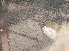 -昆明动物园