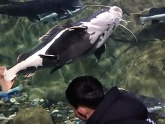 -梦幻海洋王国(吾悦广场张家港店)
