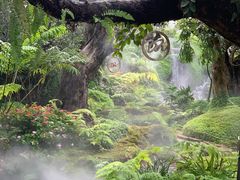 -Chom Cafe and Restaurant