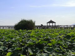 -敕勒川草原文化旅游区