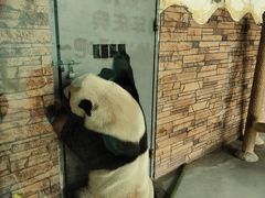 -东莞香市动物园