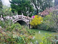 -上海醉白池公园