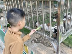 -广东花都香草世界旅游度假区
