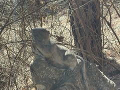 -商洛老君山旅游风景区