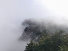 -秦岭天竺山生态文化旅游景区