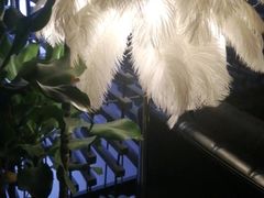-C&R西班牙餐厅