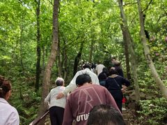 -虞山风景区