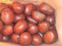 糖炒栗子-方林富炒货店(西溪路78号本人店)