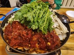 八爪鱼牛肉锅-东吉馆韩式餐厅(八经街总店)