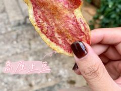 -胖金妹鸡豆凉粉店