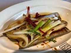 油泼特大蛏子-开海·红岛海鲜虾水饺(石老人店)
