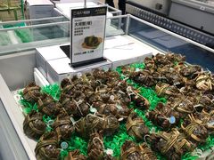 -盒马X会员店(上海森兰商都店)
