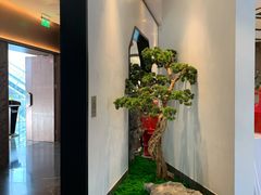 -松鹤楼·非遗·苏帮菜(融科店)