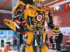 -华美国际影城(旧宫永辉店)