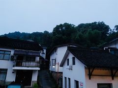 -龙井村