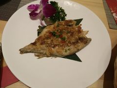 -割烹酱子日本料理(弘基财富广场店)
