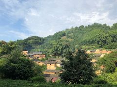 -杨家堂村