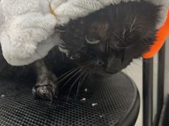 -萌小它宠物健康管理中心(怡海家园店)