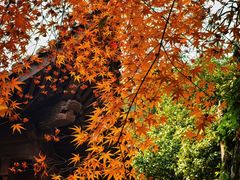 -乌镇望津里精品酒店