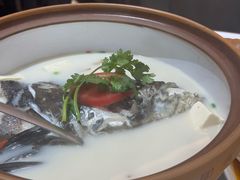 -全乐鱼馆·淳牌有机鱼直营店