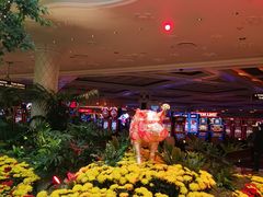 -拉斯维加斯永利酒店