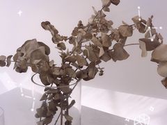 -花沐 FLOWER BATH(凤凰城店)