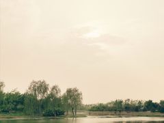 -东郊湿地公园