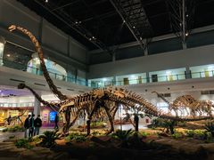 -自贡恐龙博物馆