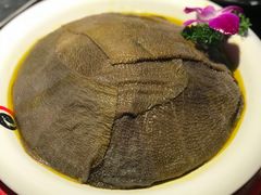 -二荆条·蜀鲜汇城市森林火锅