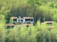 -宁海安岚·南溪阁全日餐厅