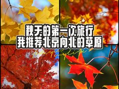 -五角枫生态旅游景区