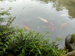 -成都杜甫草堂博物馆