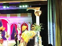 -金东尼人妖秀