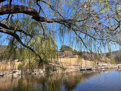 -北京西山国家森林公园