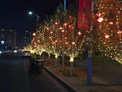 -蒙古人烤羊大师·绿野餐厅(工农大路店)