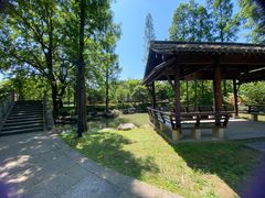 -兰亭风景区
