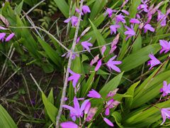 -上海交通大学(闵行校区)