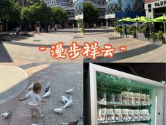 -中粮·祥云小镇