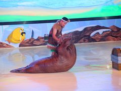 -三亚海昌梦幻海洋不夜城