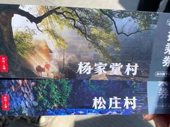 -杨家堂村