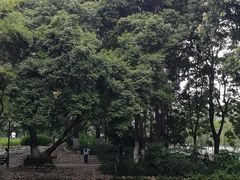 -成都市活水公园