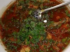 -院8里·少城记忆老川菜(宽窄巷子店)