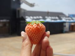 -黑潮市场